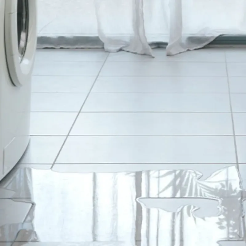 Appliance Leak Cleanup in Pigeon, MI