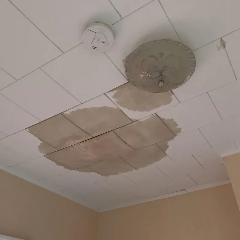 Ceiling Water Damage Repair in Pigeon, MI