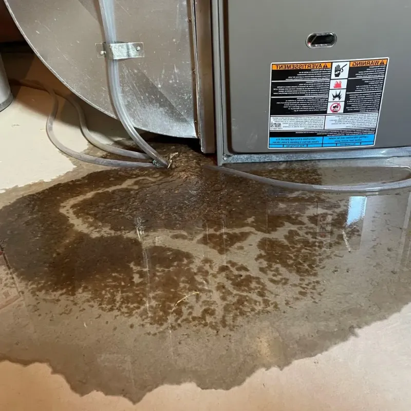 Pipe Burst and Leak Restoration in Pigeon, MI