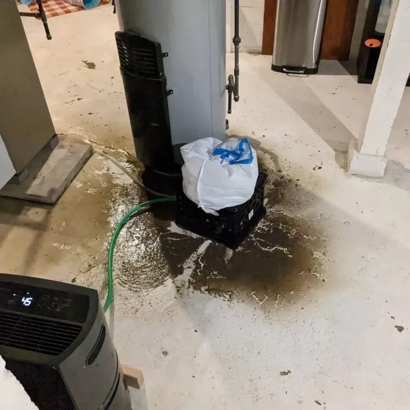 Sewage Backup Cleanup Service in Pigeon, MI